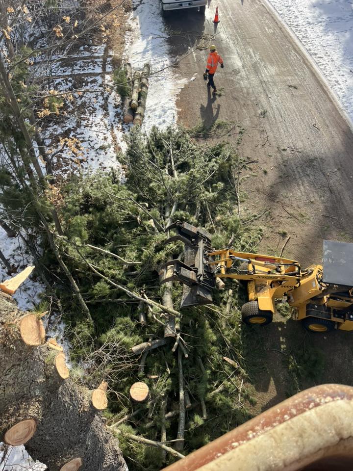 Haaven's Stump Removal team — family-owned tree service in Center City MN