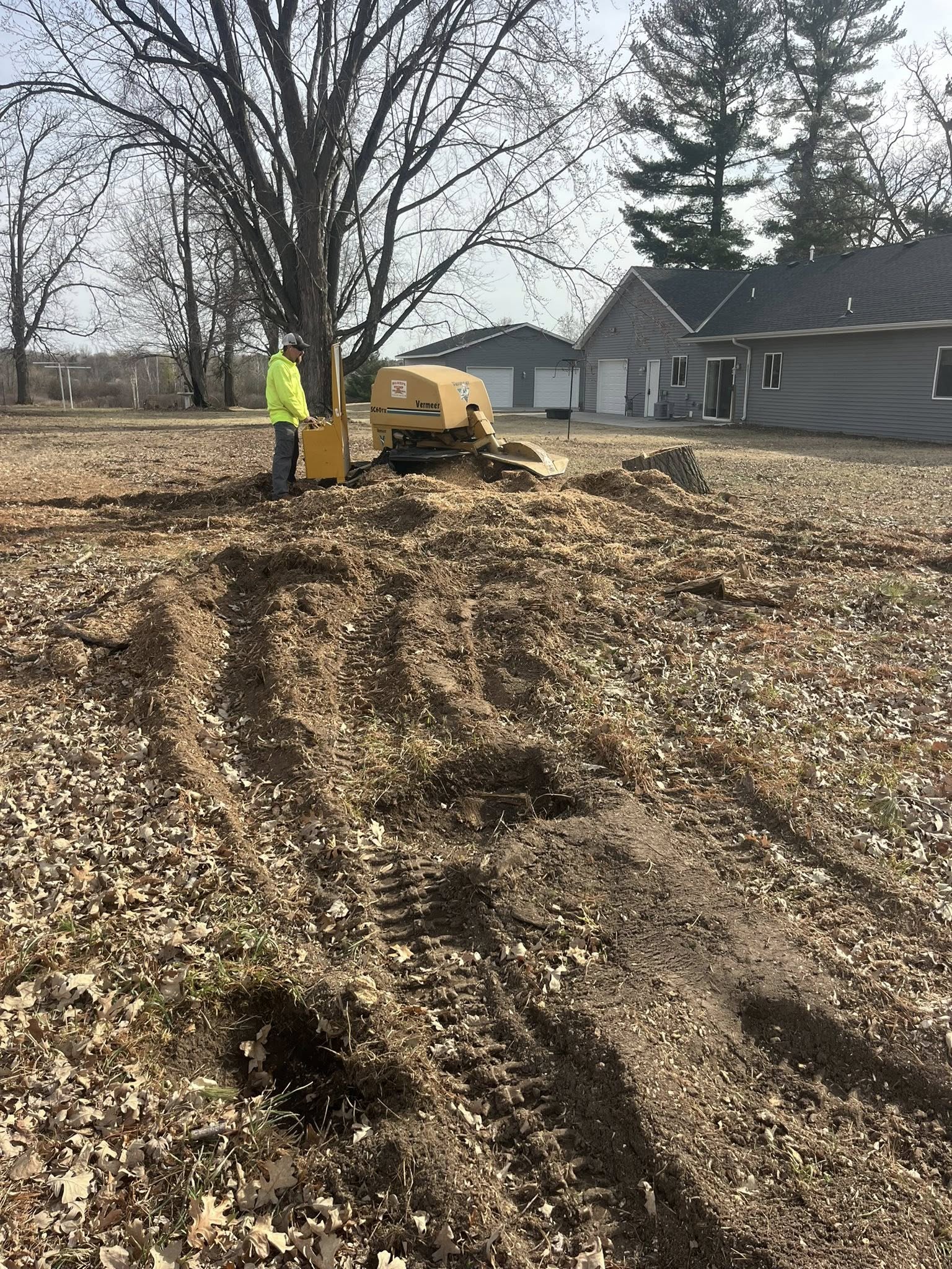 Stump grinding and removal service in Center City MN